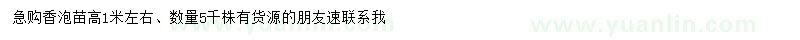求購高1米左右香泡小苗