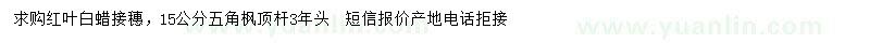 求購(gòu)紅葉白蠟接穗、15五角楓