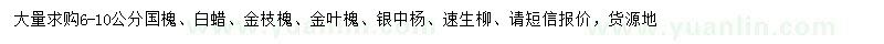 求購國槐、白蠟、金枝槐等
