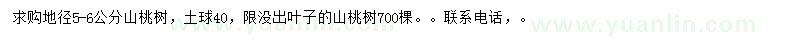 求購地徑5-6公分山桃樹