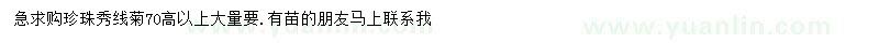 求購高70公分以上珍珠秀線菊