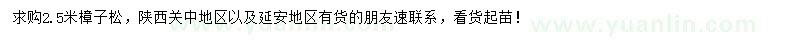 求購2.5米樟子松