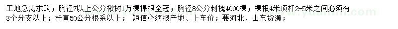 求購胸徑7以上公分楸樹、8公分刺槐