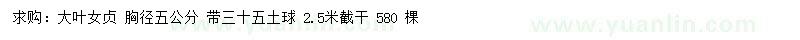 求購胸徑5公分大葉女貞