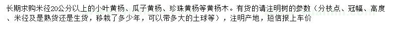 求購小葉黃楊、瓜子黃楊、珍珠黃楊