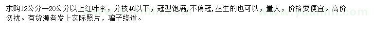 求購(gòu)12-20公分以上紅葉李
