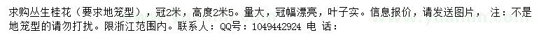 求購高2.5米叢生桂花