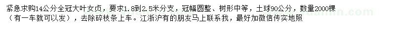 求購14公分大葉女貞