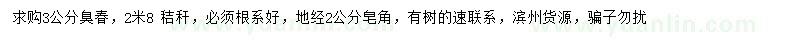 求購(gòu)3公分臭椿、地徑2公分皂角