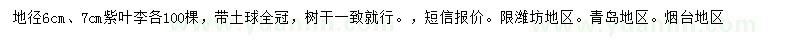 求購地徑6、7公分紫葉李