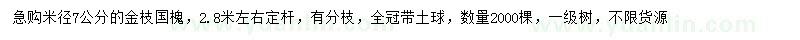 求購米徑7公分金枝國槐