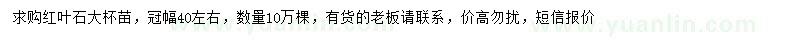 求購冠幅40左右紅葉石楠小苗