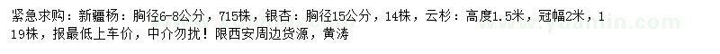 求購新疆楊、銀杏、云杉