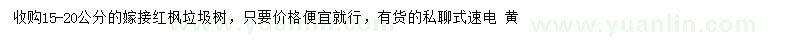 求購15-20公分紅楓