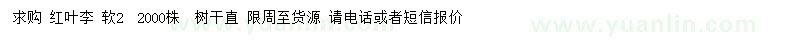 求購2公分紅葉李