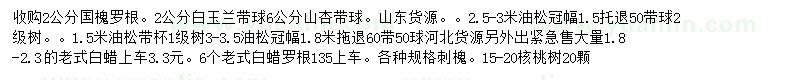 求購國槐、白玉蘭、山杏等