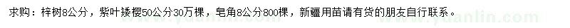 求購梓樹、紫葉矮櫻、皂角