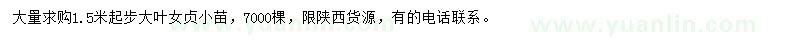 求購(gòu)1.5米以上大葉女貞小苗
