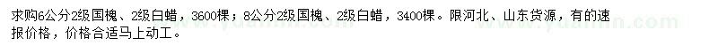 求購6、8公分國槐、白蠟