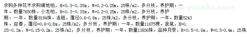 求購鋪地柏、小龍柏、連翹等