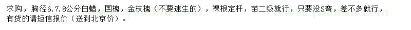 求購白蠟、國槐、金枝槐