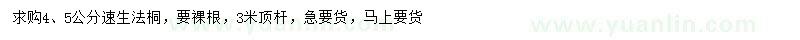 求購4、5公分速生法桐
