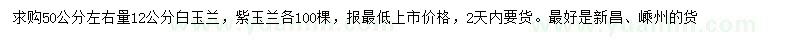 求購50量12公分白玉蘭、紫玉蘭