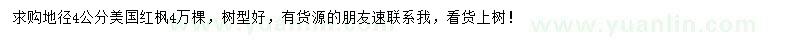 求購地徑4公分美國紅楓