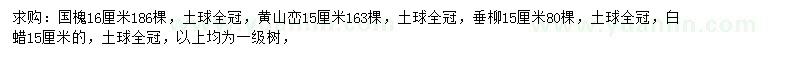 求購國槐、黃山欒樹(shù)、垂柳等
