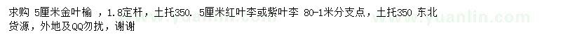 求購金葉榆、紅葉李、紫葉李