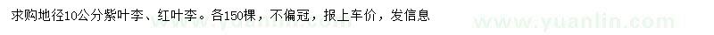 求購地徑10公分紫葉李、紅葉李