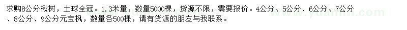 求購(gòu)8公分楸樹(shù)、4-9公分元寶楓