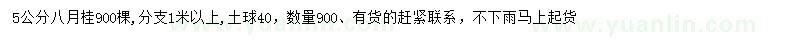 求購(gòu)5公分八月桂