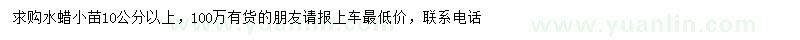 求購(gòu)10公分以上水蠟小苗
