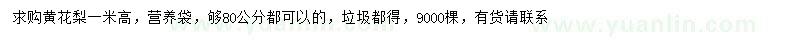 求購(gòu)高1米黃花梨