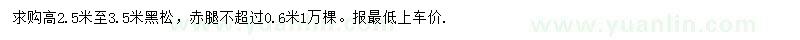 求購(gòu)高2.5-3.5米黑松