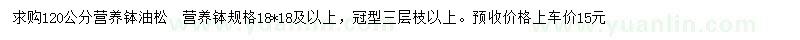 求購(gòu)120公分油松