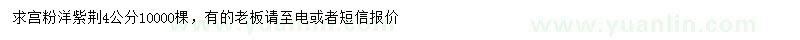 求購4公分宮粉洋紫荊