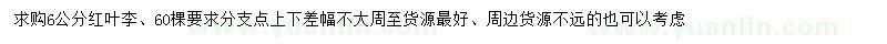 求購6公分紅葉李