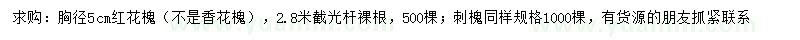 求購胸徑5公分紅花槐、刺槐