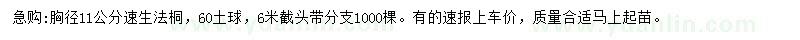 求購胸徑11公分速生法桐