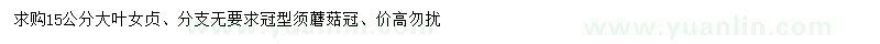 求購15公分大葉女貞
