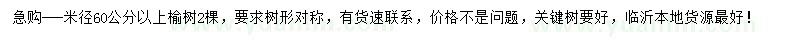 求購米徑60公分以上榆樹