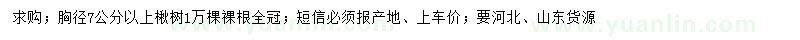 求購(gòu)胸徑7公分以上楸樹(shù)