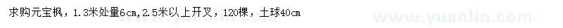 求購1.3米量6公分元寶楓