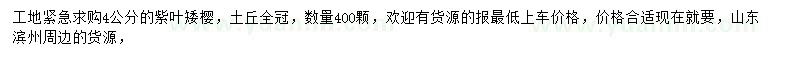 求購4公分紫葉矮櫻