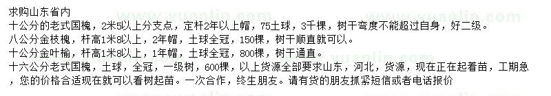 求購國槐、金枝槐、金葉榆