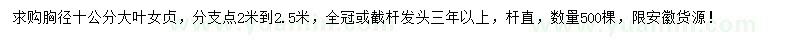 求購(gòu)胸徑10公分大葉女貞