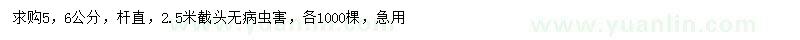求購5、6公分大葉女貞