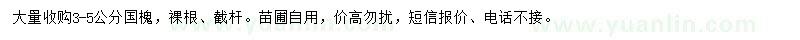 求購3-5公分國槐